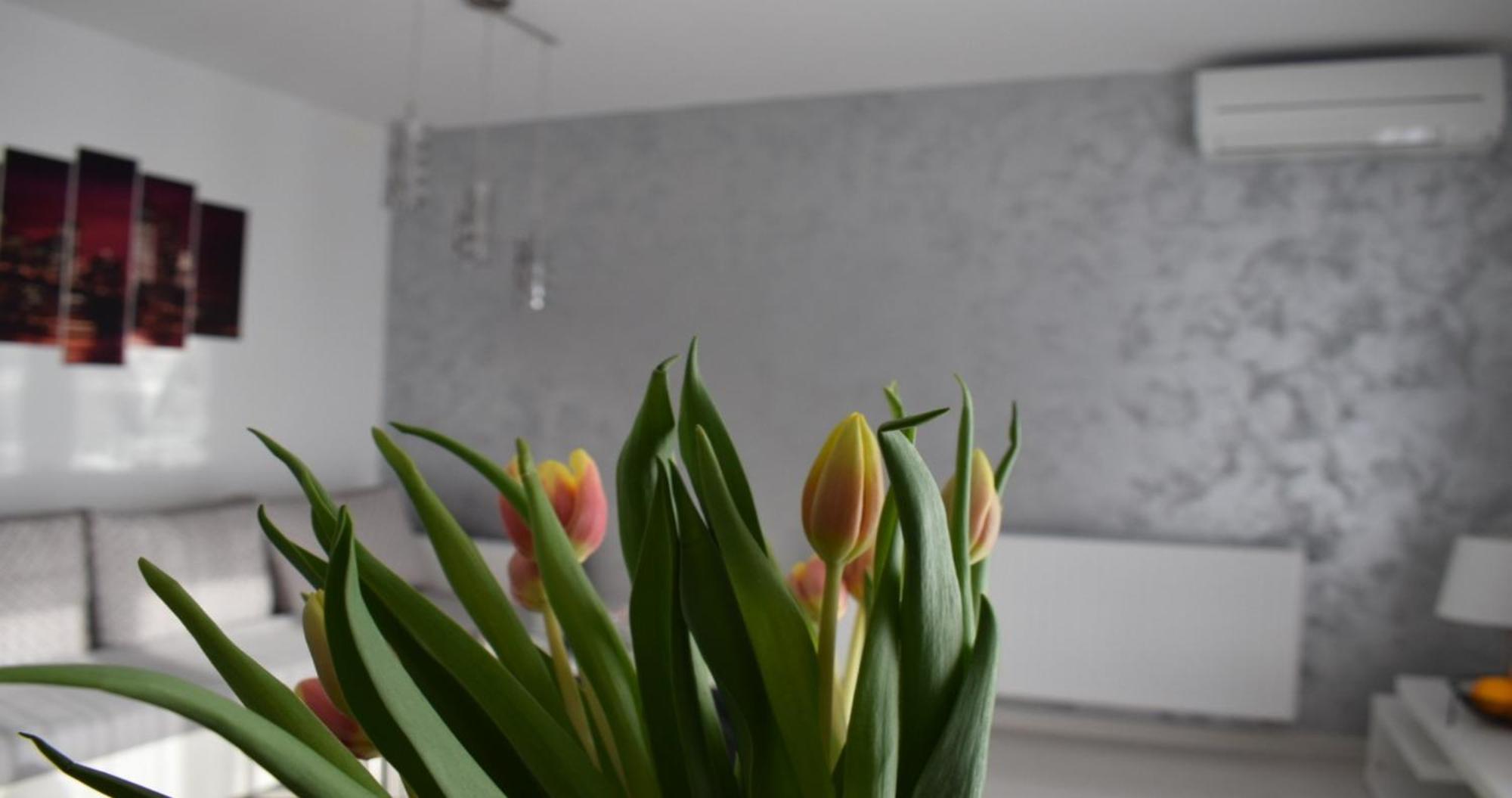 Apartmani Foresta Kras Εξωτερικό φωτογραφία