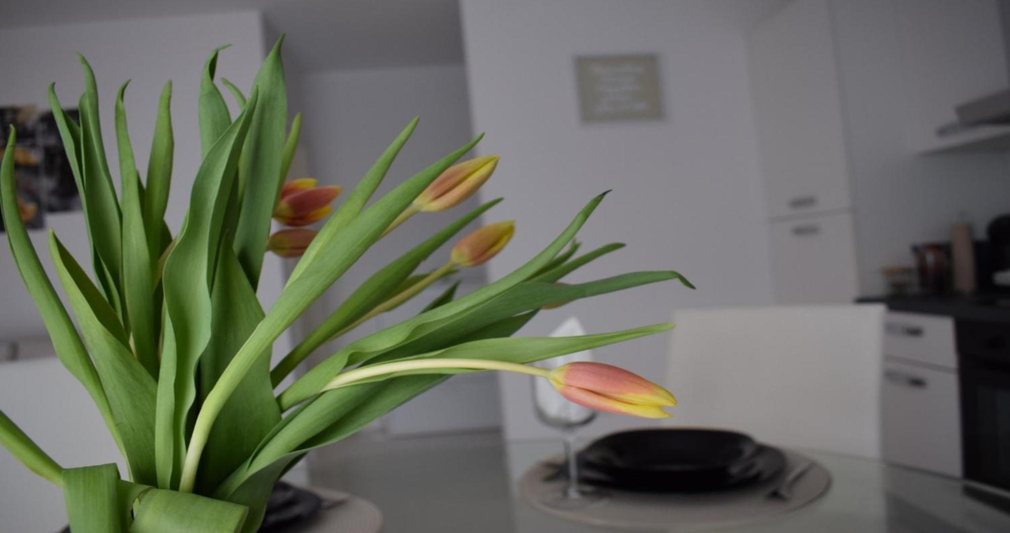 Apartmani Foresta Kras Εξωτερικό φωτογραφία