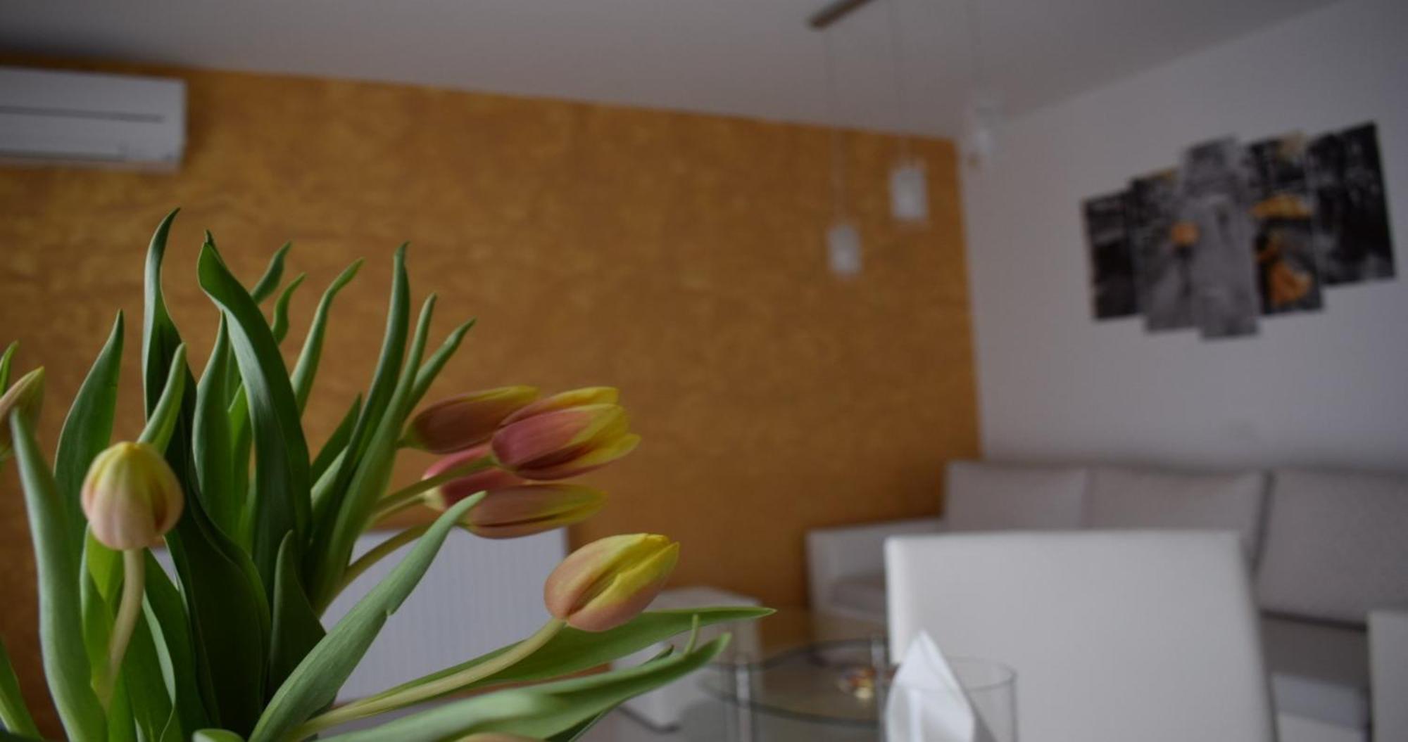 Apartmani Foresta Kras Εξωτερικό φωτογραφία